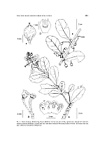  no thumbnail available