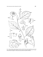  no thumbnail available