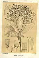  no thumbnail available