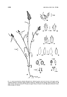  no thumbnail available