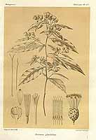  no thumbnail available