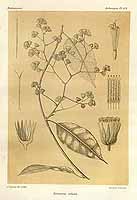  no thumbnail available