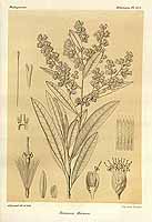  no thumbnail available