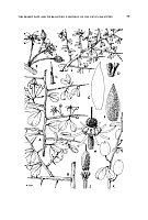  no thumbnail available