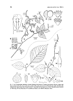  no thumbnail available