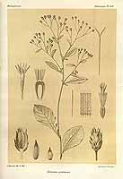  no thumbnail available