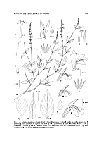  no thumbnail available