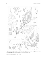  no thumbnail available