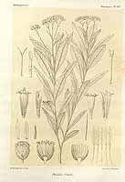  no thumbnail available