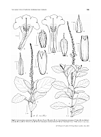  no thumbnail available