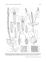  no thumbnail available