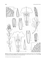  no thumbnail available