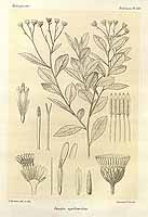  no thumbnail available