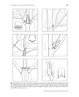  no thumbnail available