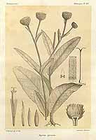  no thumbnail available