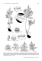  no thumbnail available