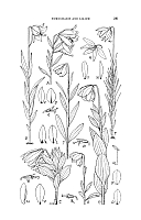  no thumbnail available