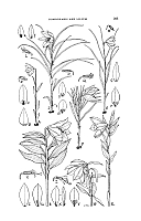  no thumbnail available