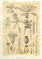  no thumbnail available