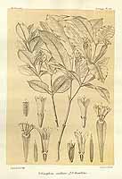  no thumbnail available