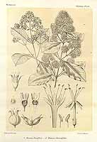  no thumbnail available