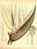  no thumbnail available