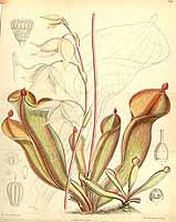  no thumbnail available