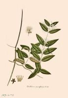 no HD illustration available (5) 