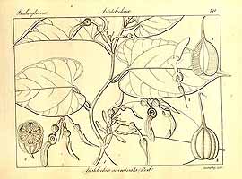  no thumbnail available