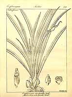  no thumbnail available