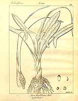  no thumbnail available