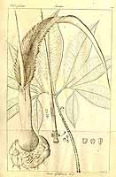  no thumbnail available