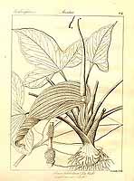  no thumbnail available