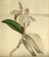  no thumbnail available