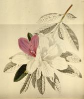  no thumbnail available