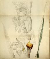  no thumbnail available