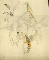  no thumbnail available