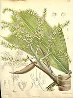  no thumbnail available