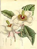  no thumbnail available