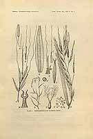  no thumbnail available