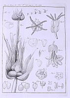  no thumbnail available