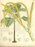  no thumbnail available