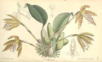  no thumbnail available