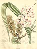  no thumbnail available