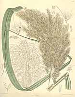  no thumbnail available