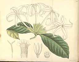  no thumbnail available