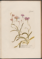  no thumbnail available