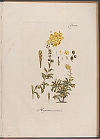  no thumbnail available