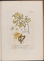  no thumbnail available