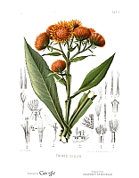  no thumbnail available